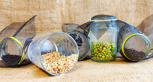 Botes de semillas de soja, anís, sésamo, cebolla y cebollino