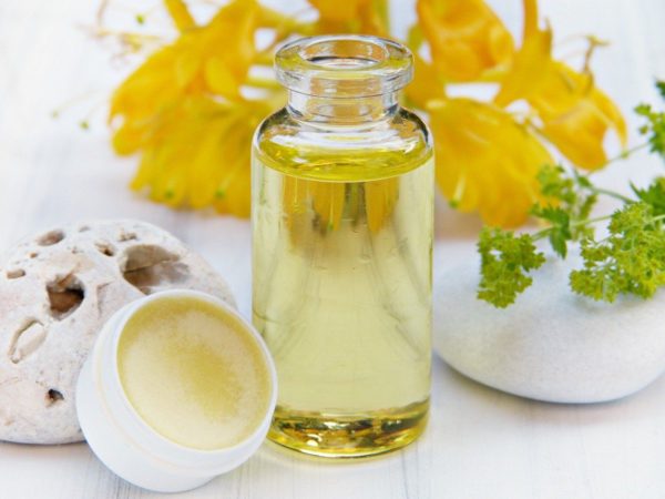 Curso de Plantas Aromáticas y Medicinales - Imagen 5