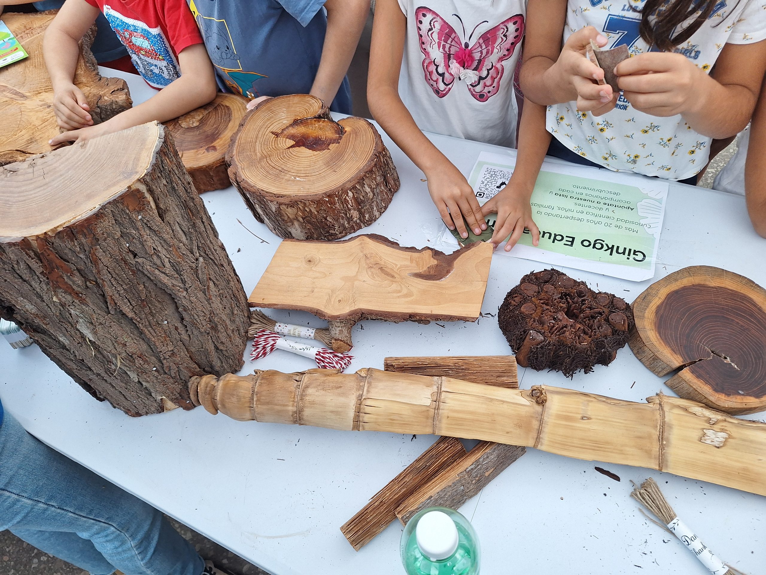 Taller de ciencia y naturaleza en un centro educativo