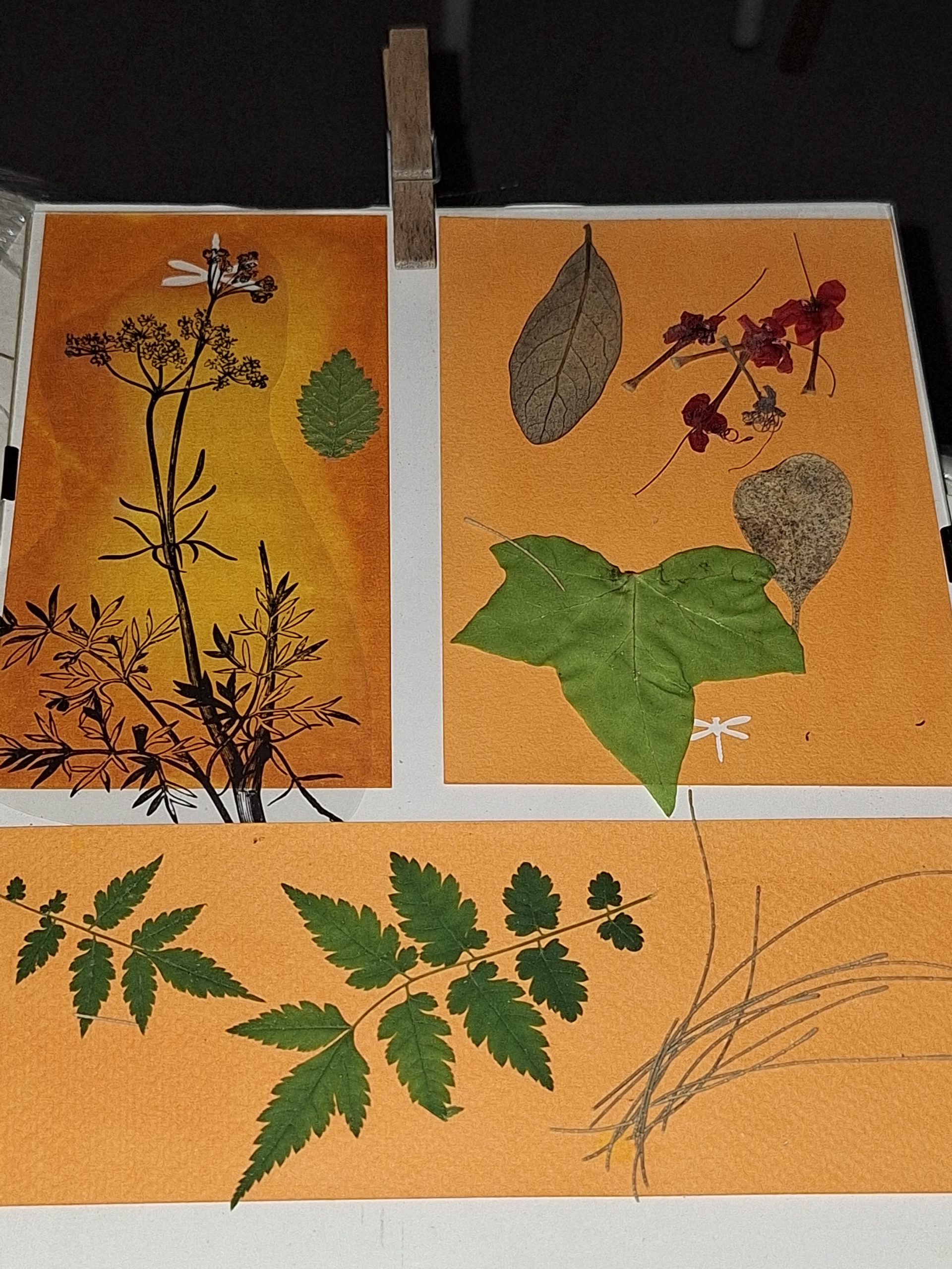 Taller práctico de jardinería