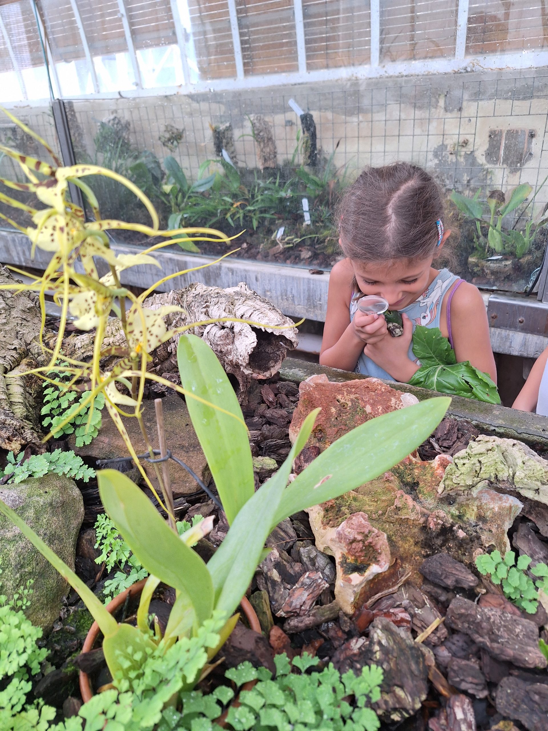 Detalle de actividad educativa de ciencia y naturaleza