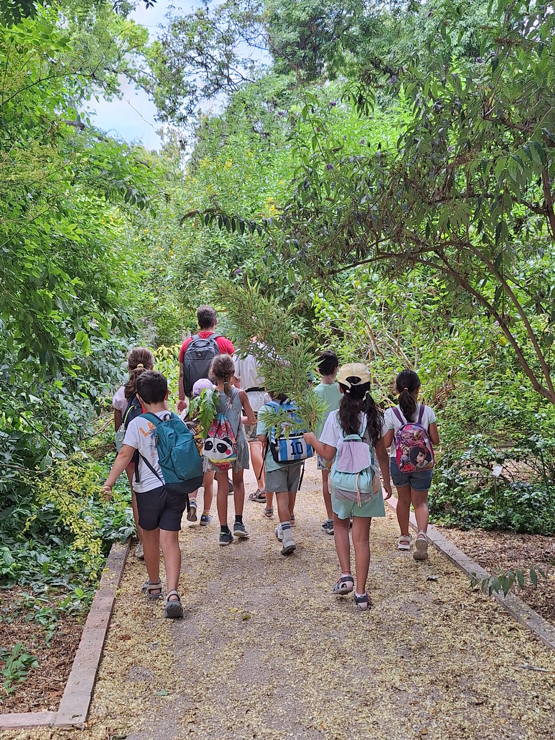 Botánica y biodiversidad