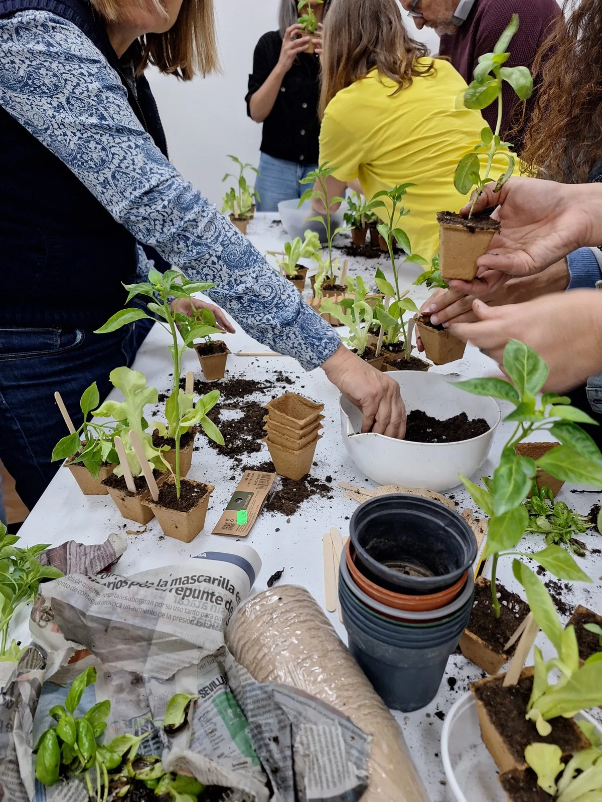 Participantes preparan plantas y macetas en un taller práctico de jardinería