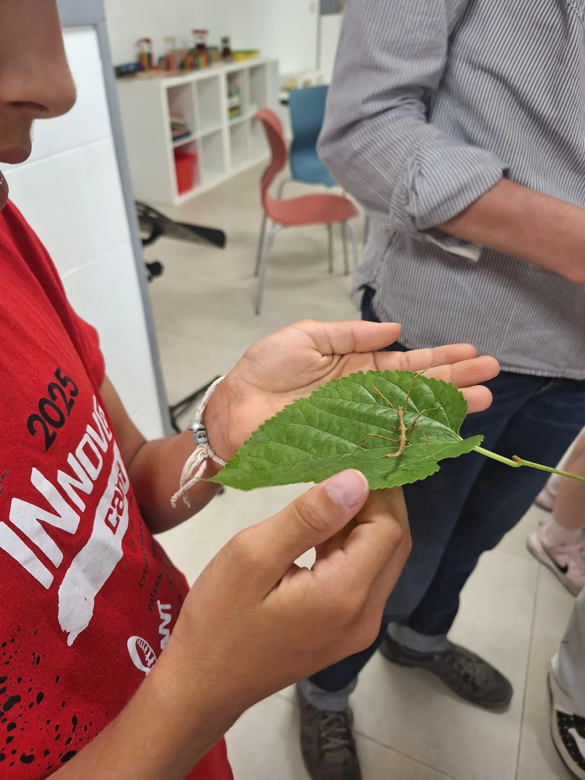 Tardes de ciencias | Botánica recreativa. Ginkgo Educación Observación de un insecto sobre una hoja durante una actividad de ciencias