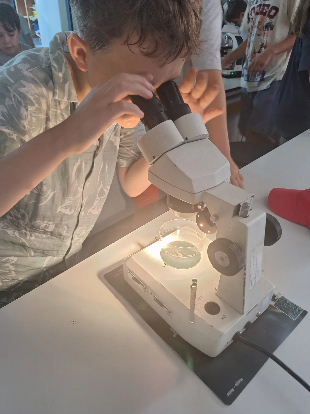 Tardes de ciencias | Botánica recreativa. Ginkgo Educación Niña observa una muestra a través de una lupa binocular