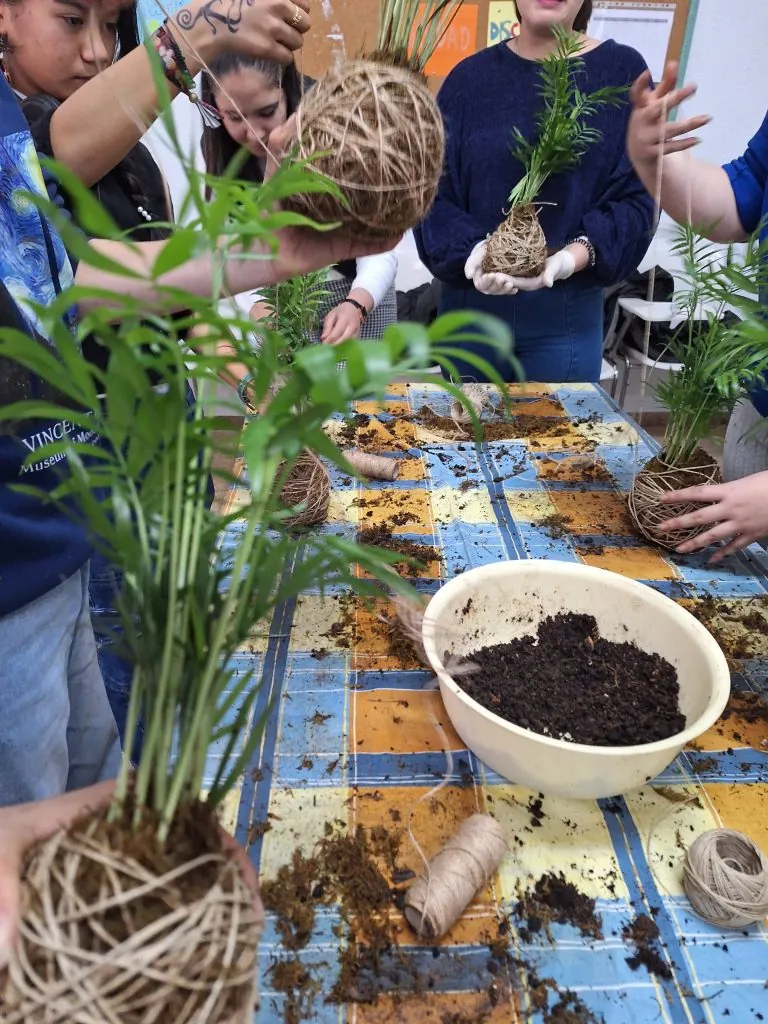Práctica de jardinería con plantas, macetas y sustrato