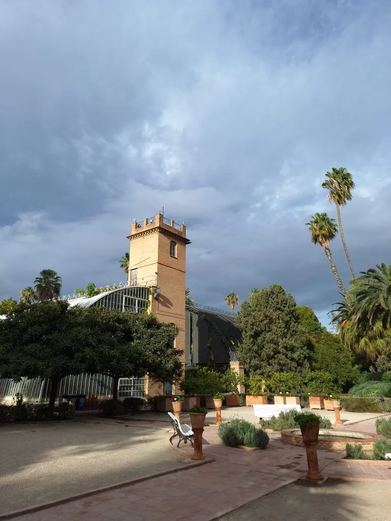 Palmeras y torre entre la vegetación del Jardí Botànic de València